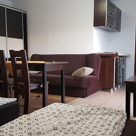 E&S_ Apartament Milicz Exteriör bild