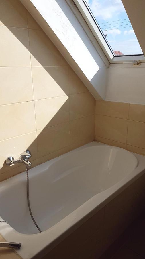 E&S_ Apartament Milicz Exteriör bild